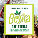 Bessica 2018