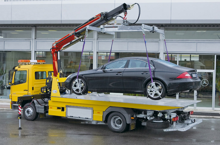 A Fassi F545RA crane installs Octopus sculpture - Fassi Crane