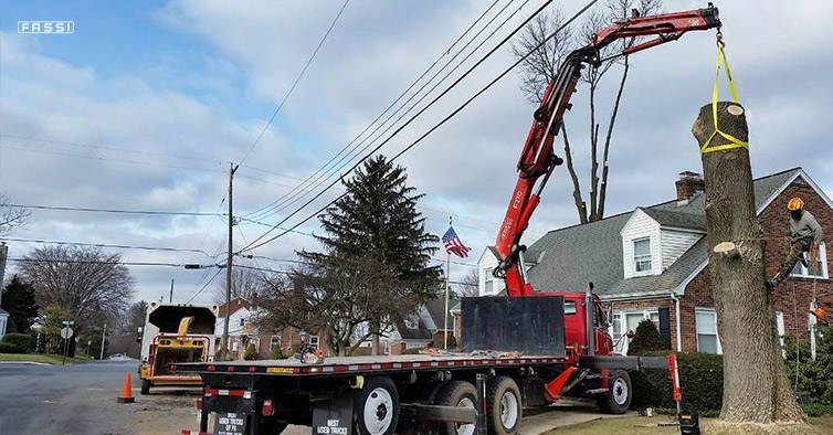 Fassi & Climb High Tree Service LLC