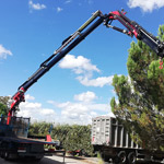 Transgruas Cial Fassi F545RA