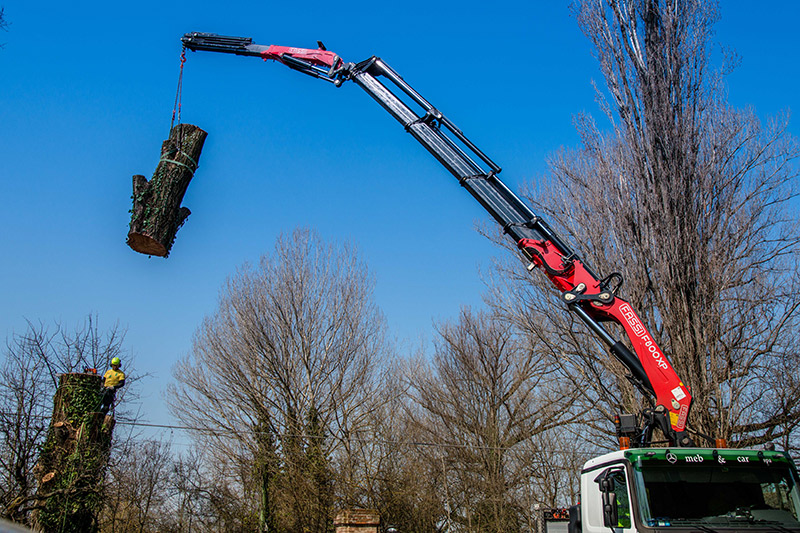 Fassi tree climbing