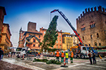 Fassi Christmas tree in Bologna 