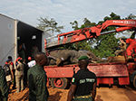 Fassi-truck-crane-Ivory-Coast-thumb