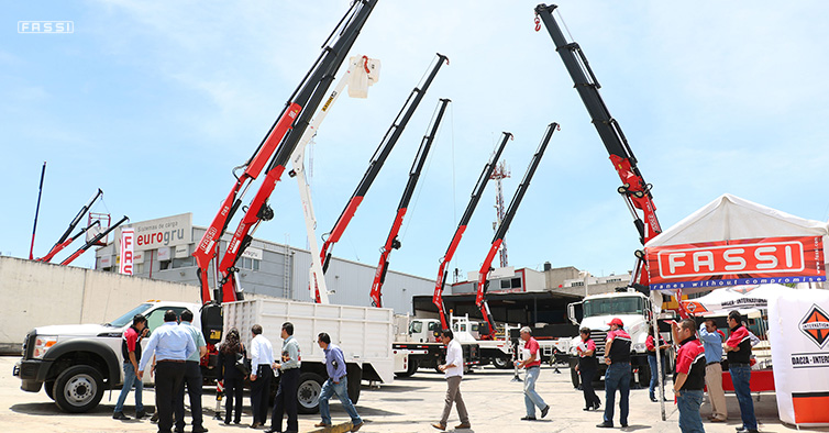 Fassi Eurogru