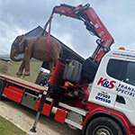Una Fassi F420XP eleva esculturas de elefantes