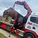 Une Fassi F420XP lève des statues d’éléphants 