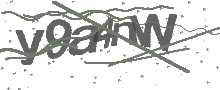 Captcha Bild