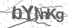 Captcha Bild