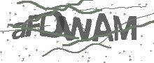 Captcha Bild