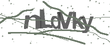 Captcha Bild