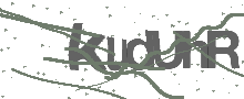 Captcha Bild