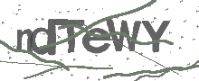 Captcha Bild
