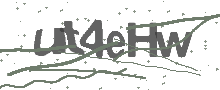 Captcha Bild