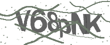 Captcha Bild