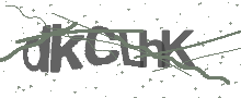 Captcha Bild