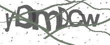 Captcha Bild