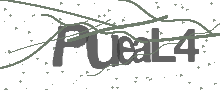 Captcha Bild