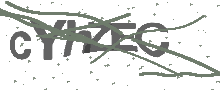 Captcha Bild