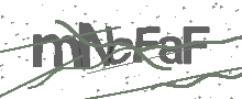 Captcha Bild