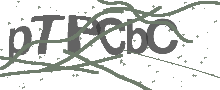 Captcha Bild