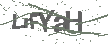 Captcha Bild