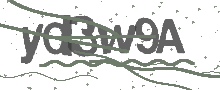 Captcha Bild