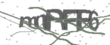 Captcha Bild