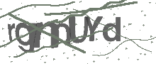 Captcha Bild