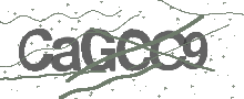 Captcha Bild