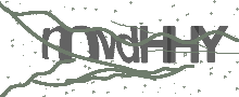 Captcha Bild