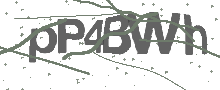 Captcha Bild