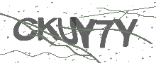 Captcha Bild