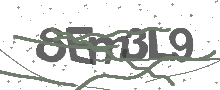 Captcha Bild