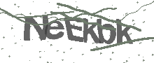 Captcha Bild