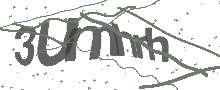 Captcha Bild