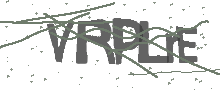 Captcha Bild