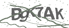 Captcha Bild