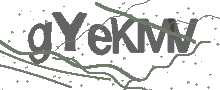 Captcha Bild