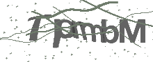 Captcha Bild