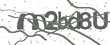 Captcha Bild