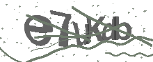 Captcha Bild
