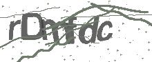 Captcha Bild