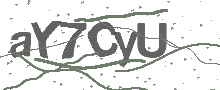 Captcha Bild