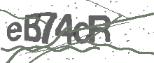 Captcha Bild