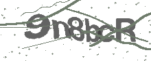 Captcha Bild