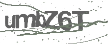 Captcha Bild