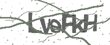 Captcha Bild