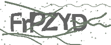 Captcha Bild