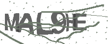 Captcha Bild
