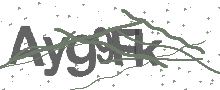Captcha Bild